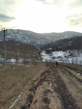 В логу вид на владение